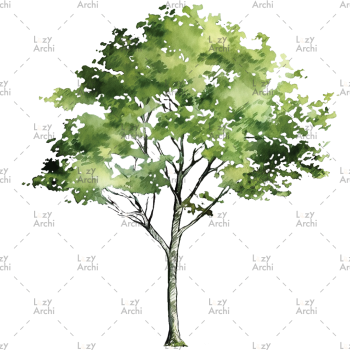 es_png_tree_ele_23006_web-png